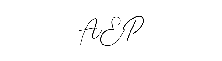 Braga Signature  Free Fonts Download