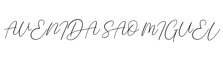 Braga Signature  Free Fonts Download