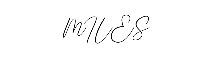 Braga Signature  Free Fonts Download