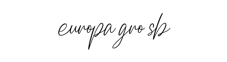 Braga Signature  Free Fonts Download