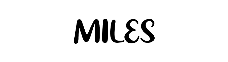 Bright City  Free Fonts Download