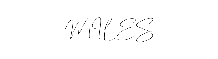 Bill Horisone  Free Fonts Download