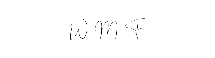 Ballmer Signature  Free Fonts Download
