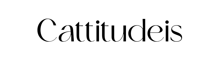 Skeina Regular  Free Fonts Download