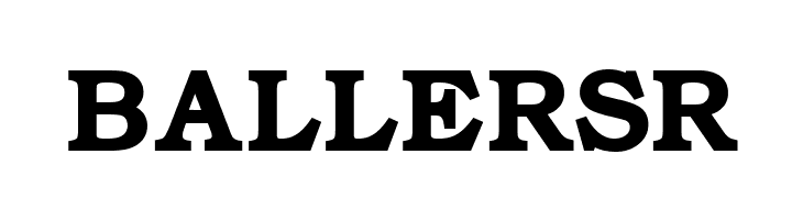 ER Bukinist 866 Bold  Free Fonts Download