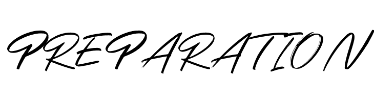 Grand Paradiso Script  Free Fonts Download
