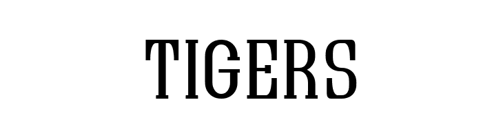 Quastic Kaps  Free Fonts Download