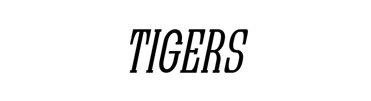 Quastic Kaps Narrow Italic  Free Fonts Download