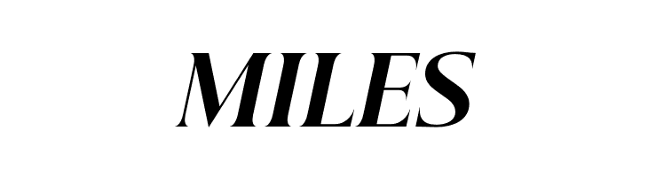 Beautique Display Black Italic  Free Fonts Download