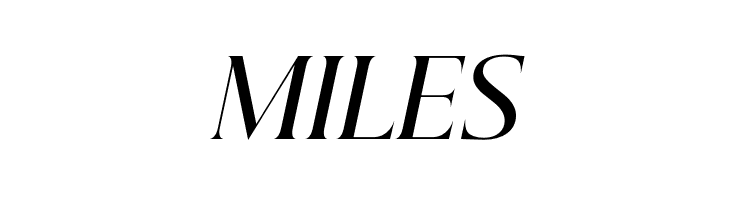 Beautique Display Medium Italic  Free Fonts Download