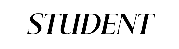 Beautique Display Bold Italic  Free Fonts Download