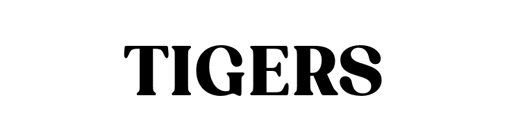 BT Amibus Trial Bold  Free Fonts Download