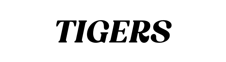 BT Amibus Trial Bold Italic  Free Fonts Download