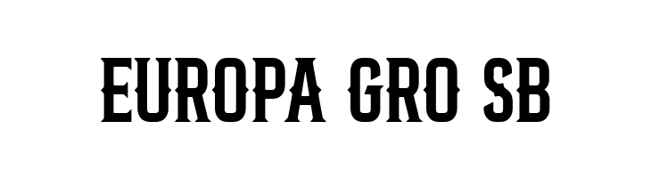 Bronco  Free Fonts Download