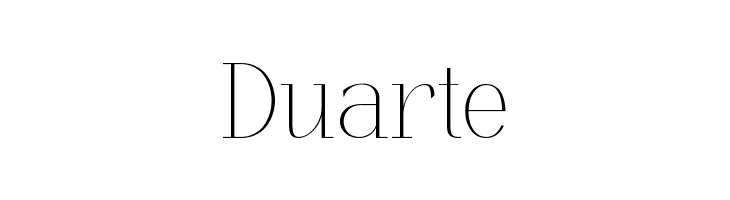 Losta Riecha Demo  Free Fonts Download