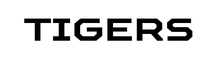 TT Octosquares Trl Exp Bd  Free Fonts Download