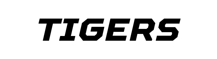 TT Octosquares Trl XBd It  Free Fonts Download