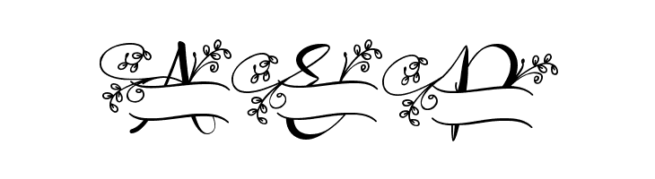 Aqille Monogram - Personal Use  Free Fonts Download