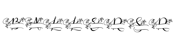 Aqille Monogram - Personal Use  Free Fonts Download