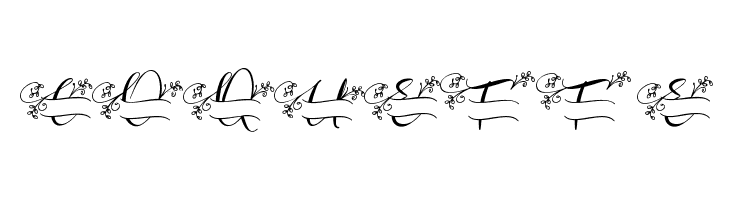 Aqille Monogram - Personal Use  Free Fonts Download