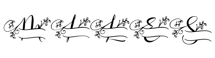 Aqille Monogram - Personal Use  Free Fonts Download