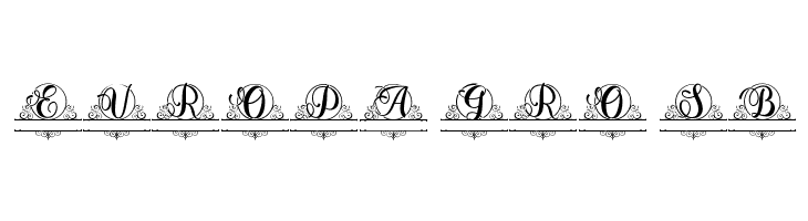 Berlin Monogram  Free Fonts Download