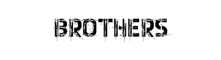 Net Bold  Free Fonts Download