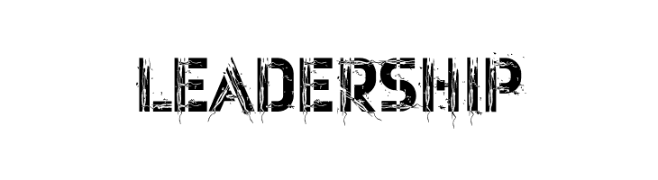 Net Bold  Free Fonts Download