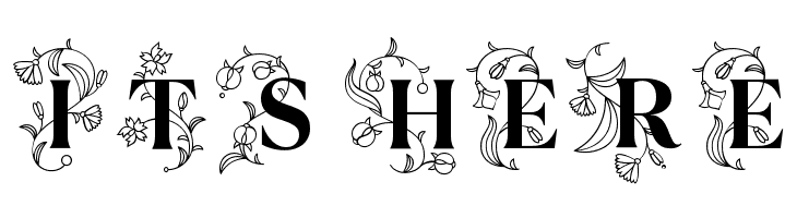 TT Ramillas Initials Trl Bd  Free Fonts Download