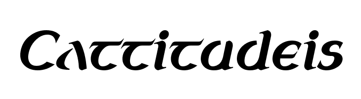 Celtica Bold Oblique  Free Fonts Download