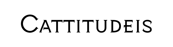 Snorkad Regular  Free Fonts Download