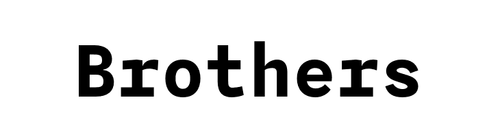 Agyx Mono Bold  Free Fonts Download