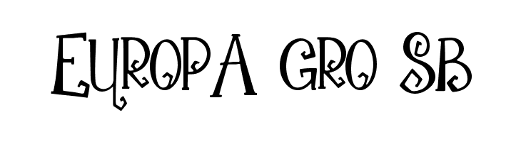 the Witch  Free Fonts Download