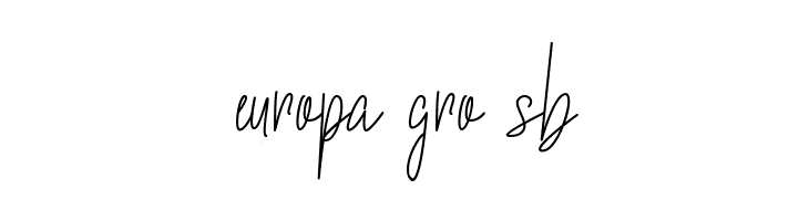 Biellsa  Free Fonts Download