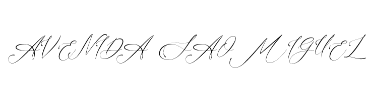 Amsterline  Free Fonts Download