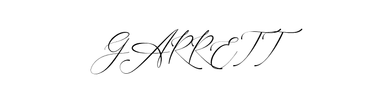 Amsterline  Free Fonts Download