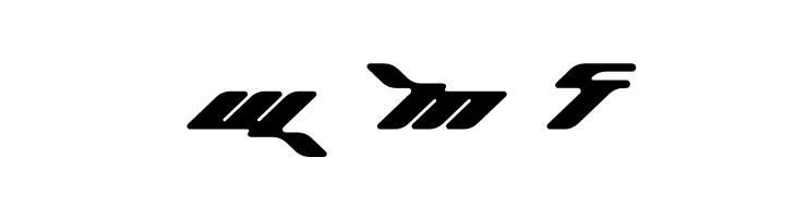 Roadam  Free Fonts Download