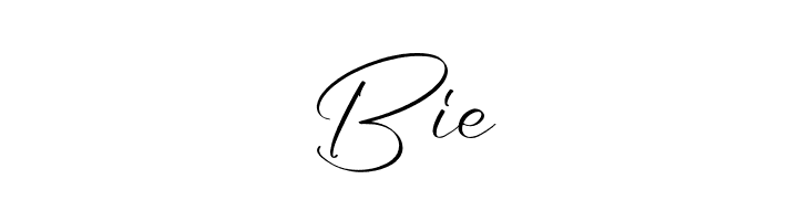 Walkies Spearh  Free Fonts Download