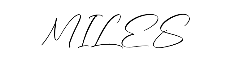 Walkies Spearh  Free Fonts Download