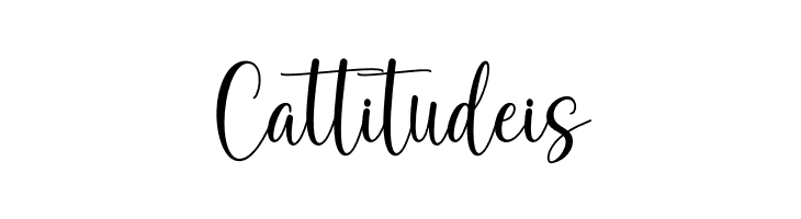 December Script  Free Fonts Download