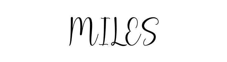 December Script  Free Fonts Download