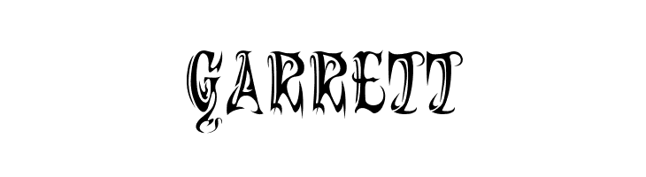 Shotei Normal  Free Fonts Download