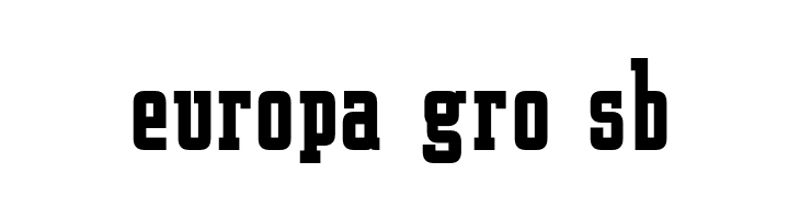 Shishin Bold  Free Fonts Download