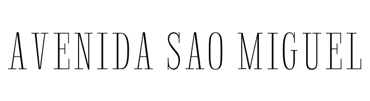 Riun Light  Free Fonts Download