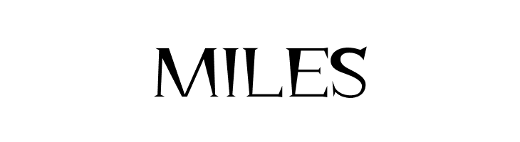 Dowmo Normal  Free Fonts Download