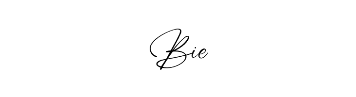 March Shine  Free Fonts Download