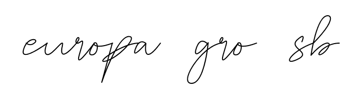 Banirmet  Free Fonts Download
