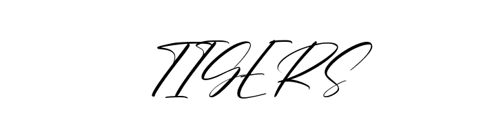 Charlotte Matthew Free Regular  Free Fonts Download