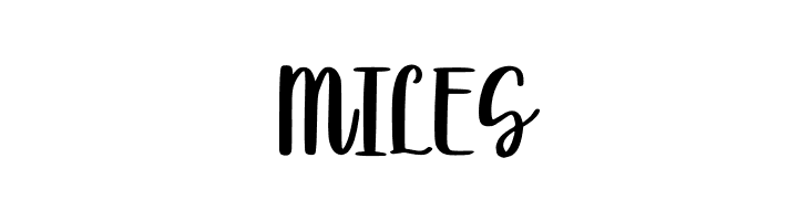 Bettermilk  Free Fonts Download