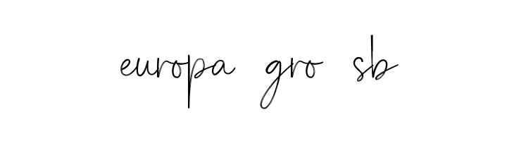 RomeJanction  Free Fonts Download
